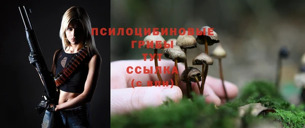 МДПВ Вязники