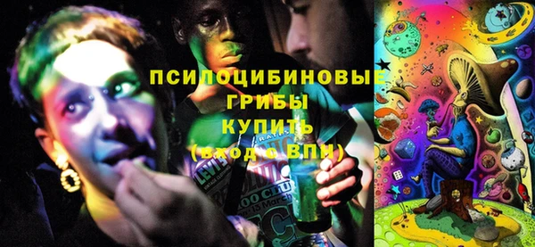 PSILOCYBIN Вязьма