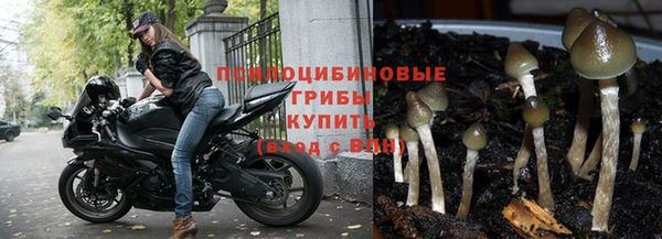 МДПВ Вязники