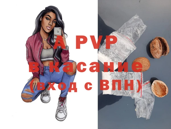 PSILOCYBIN Вязьма