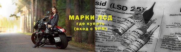 PSILOCYBIN Вязьма